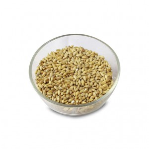 Beech Smoked Barley